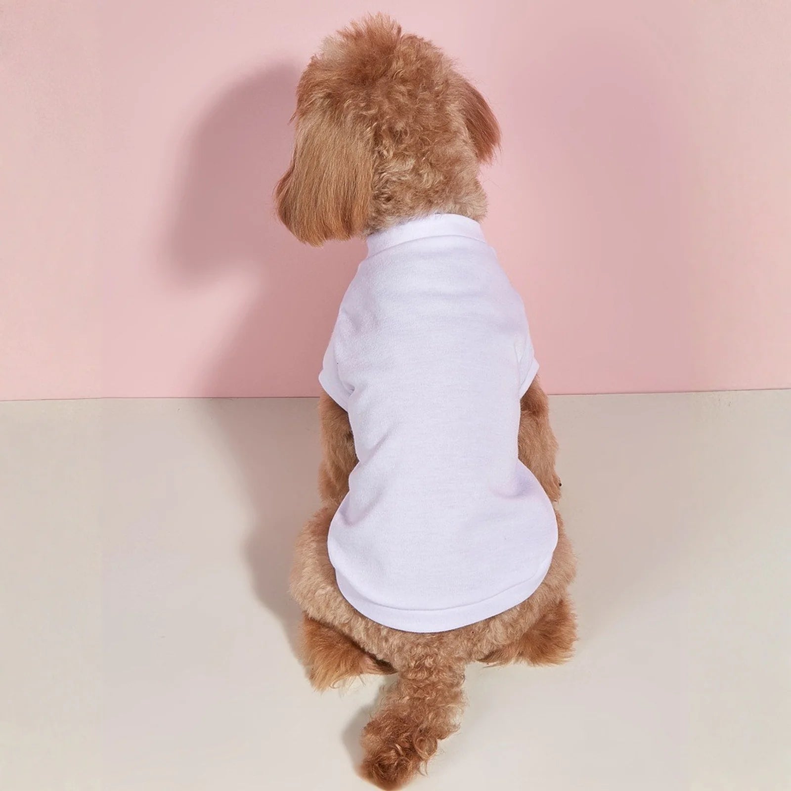 Lightweight Dog T-Shirt