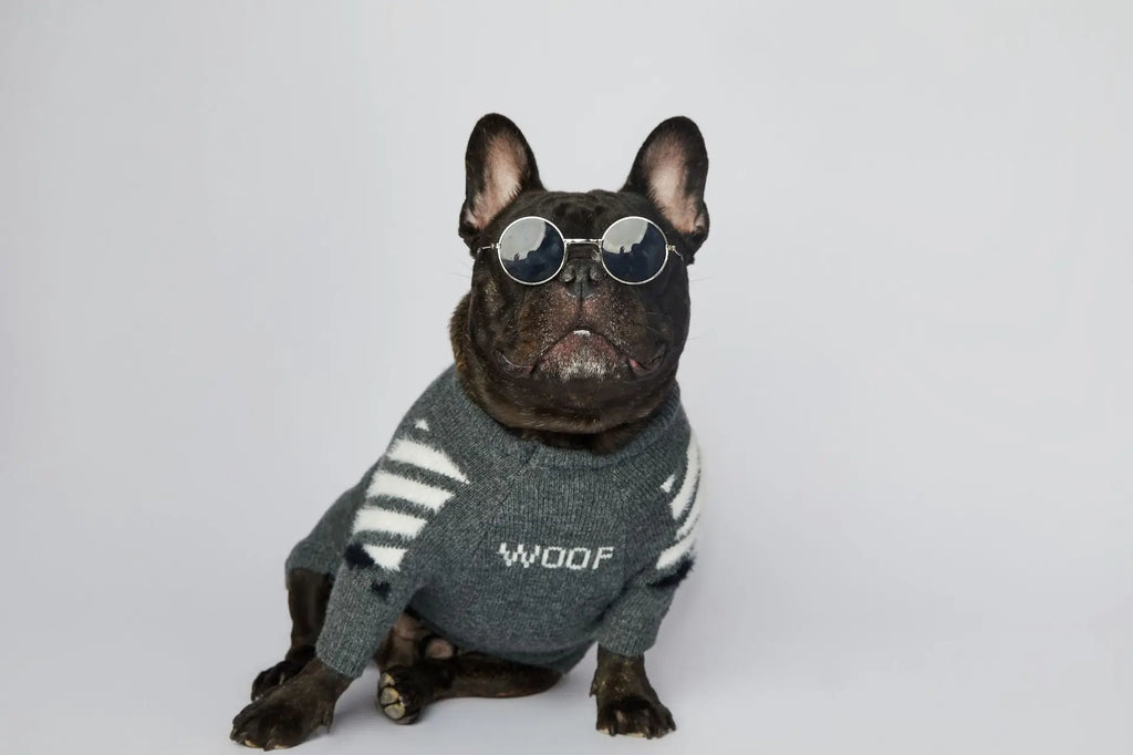 WOOF Knit Dog Sweater — Thick Cotton Jumper for French Bulldogs & Small-Medium Dogs | S–3XL