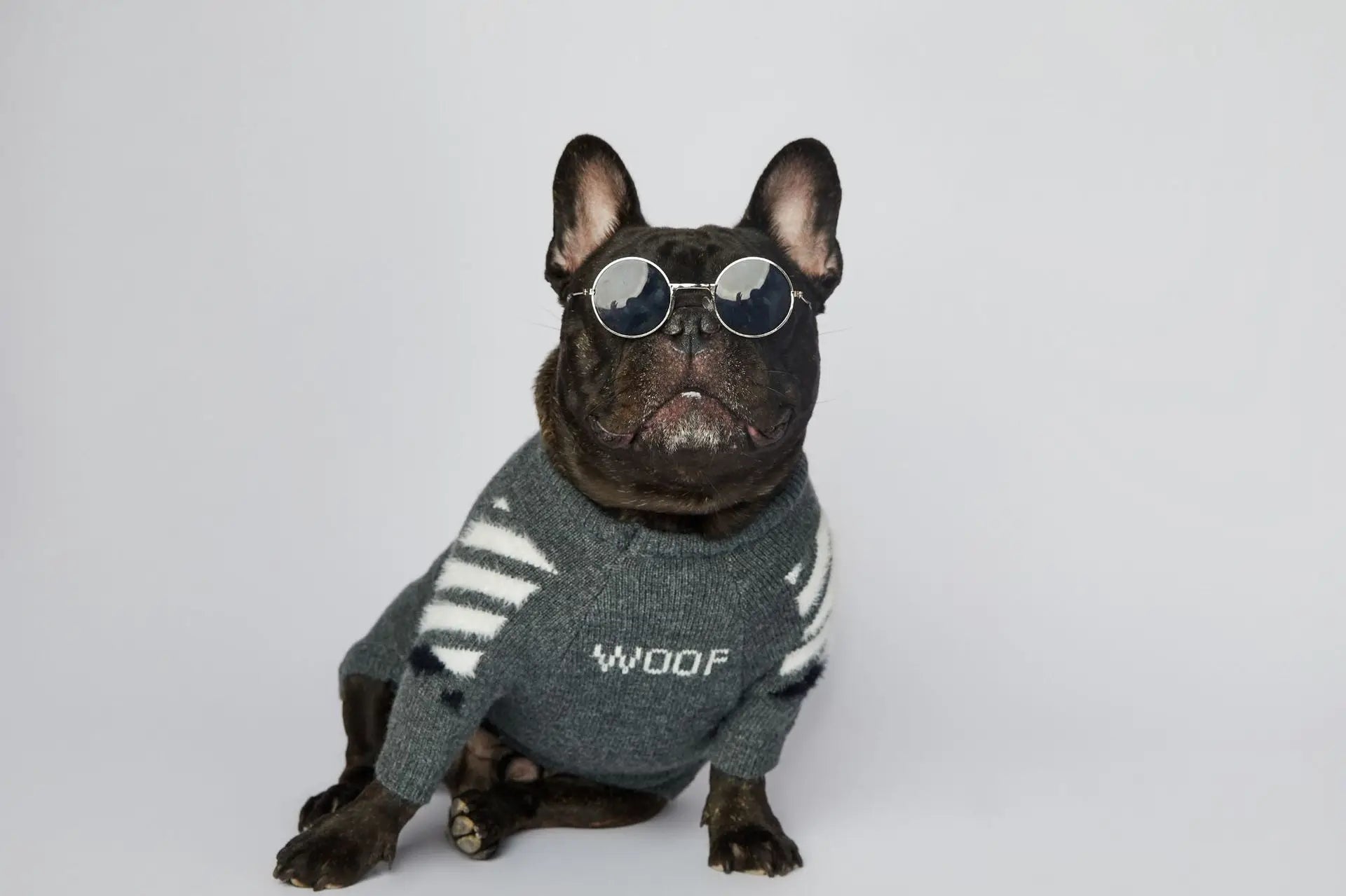 WOOF Knit Dog Sweater — Thick Cotton Jumper for French Bulldogs & Small-Medium Dogs | S–3XL