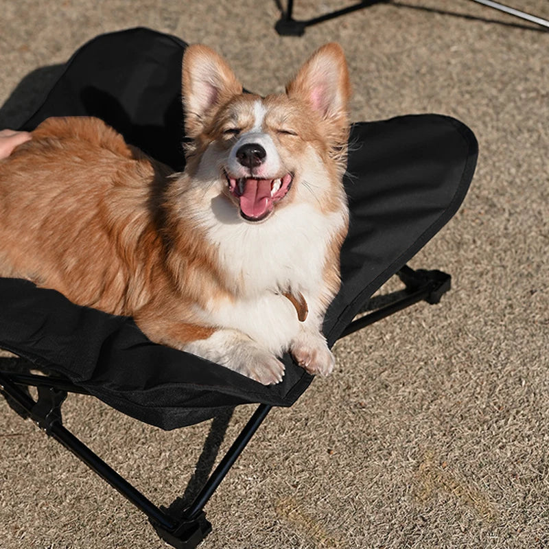 Outdoor Camping Foldable Pet Bed with Support and Dust-proof Dog Mattress, Comfortable and Soft Dog Bed for Travel Fashioned Furbabies