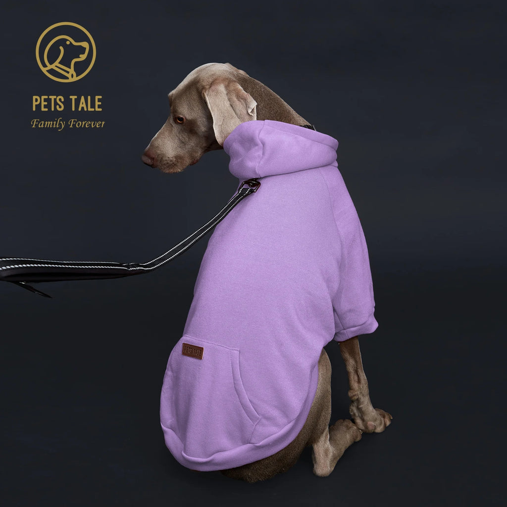 Dog Hoodie with Pocket, Leather Patch, Hook and Loop Fastener Collar -