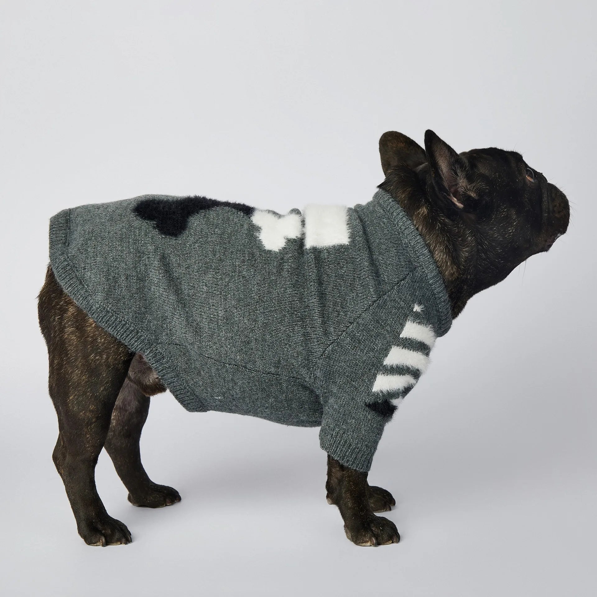WOOF Knit Dog Sweater — Thick Cotton Jumper for French Bulldogs & Small-Medium Dogs | S–3XL