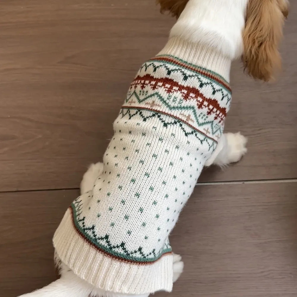 Striped Knit Dog Sweater — Cozy Winter Pullover for Small Dogs & Puppies | XS–XL