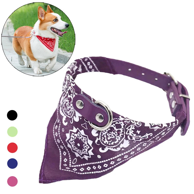 Dog & Cat Collar with Scarf | Adjustable PU Collar | XS–XL