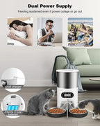 The SmartFeast Double Feeder