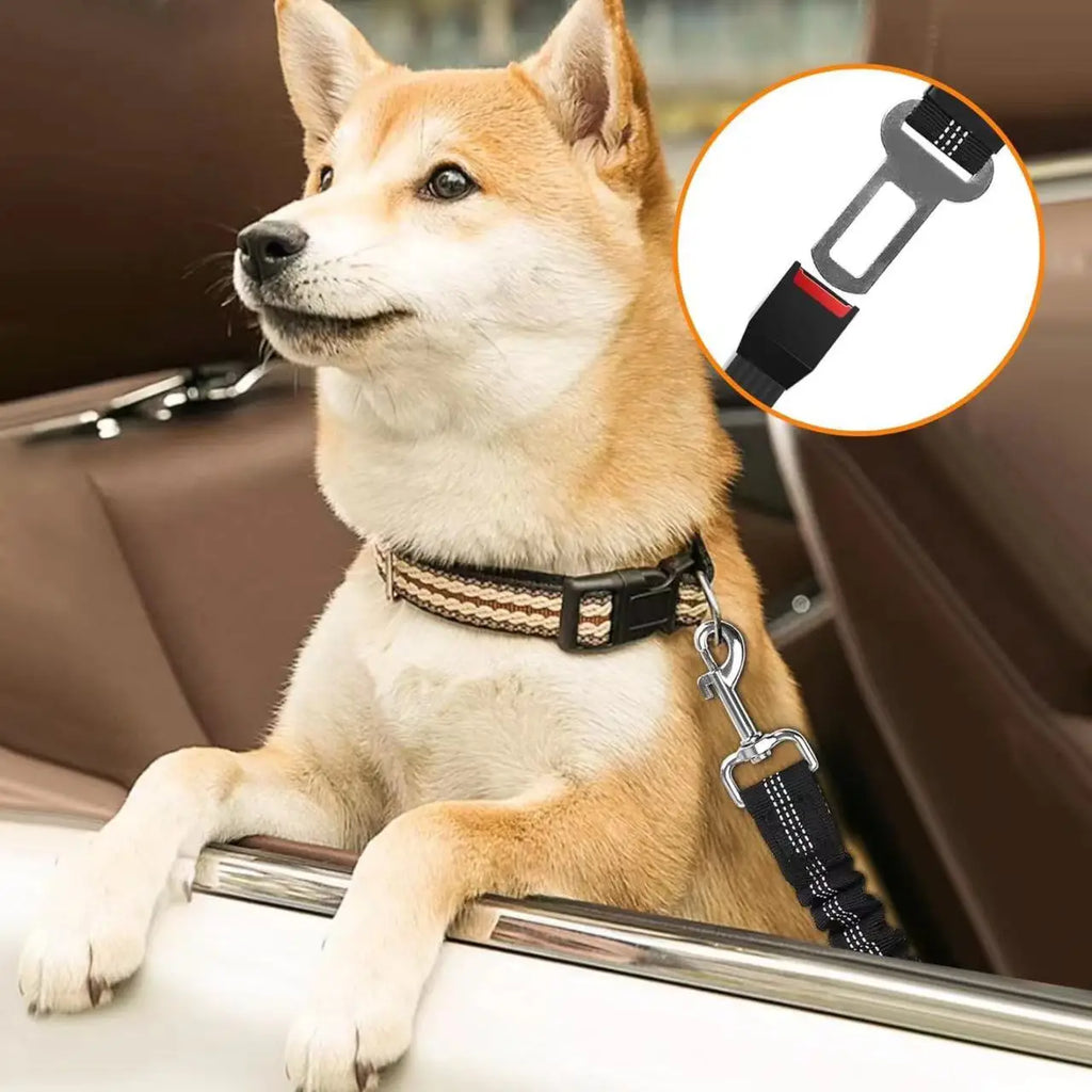 Nylon Pet Safety Seat Belt with Elastic Bungee Buffer Reflective