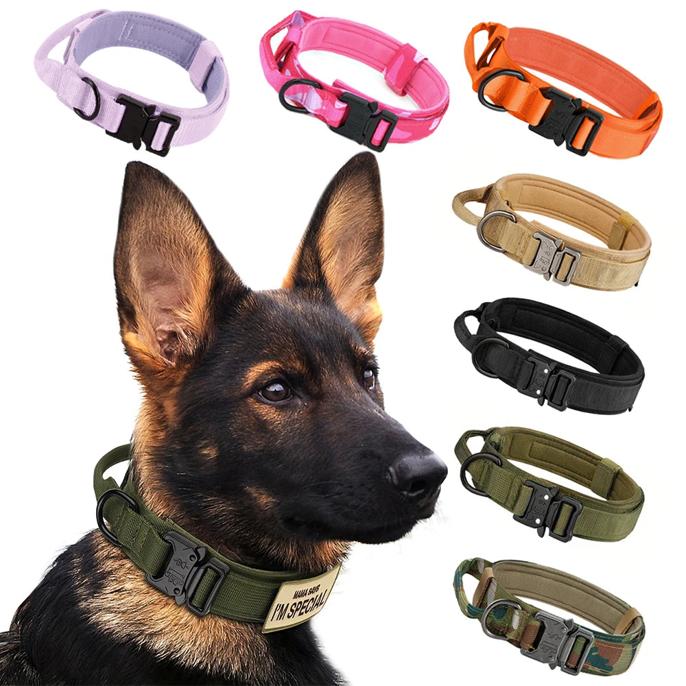 Tactical Dog Collar with Control Handle — 1000D Nylon, Double Closure & D-Ring | Collar Only or Collar & Leash Set | M–XL