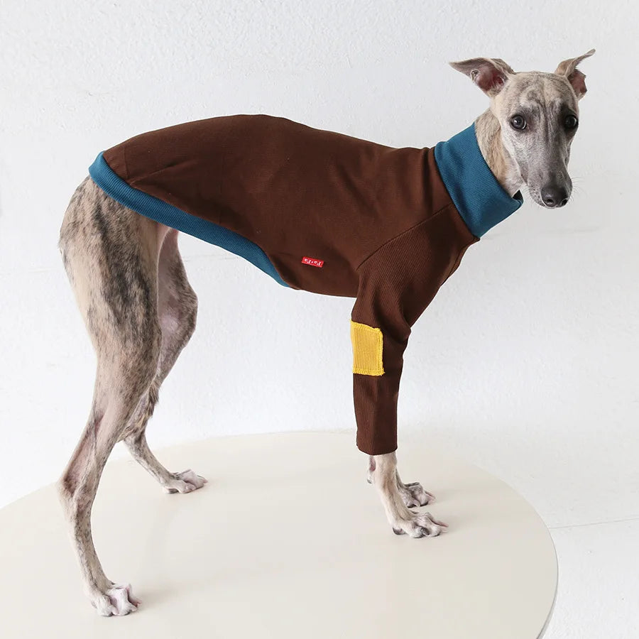 Winter Knitted Thing Dog Greyhound 2 Legged  Long Sleeve Pet Shirts Slim Dog Whibitt Pajamas Sweatshirts Knitwear