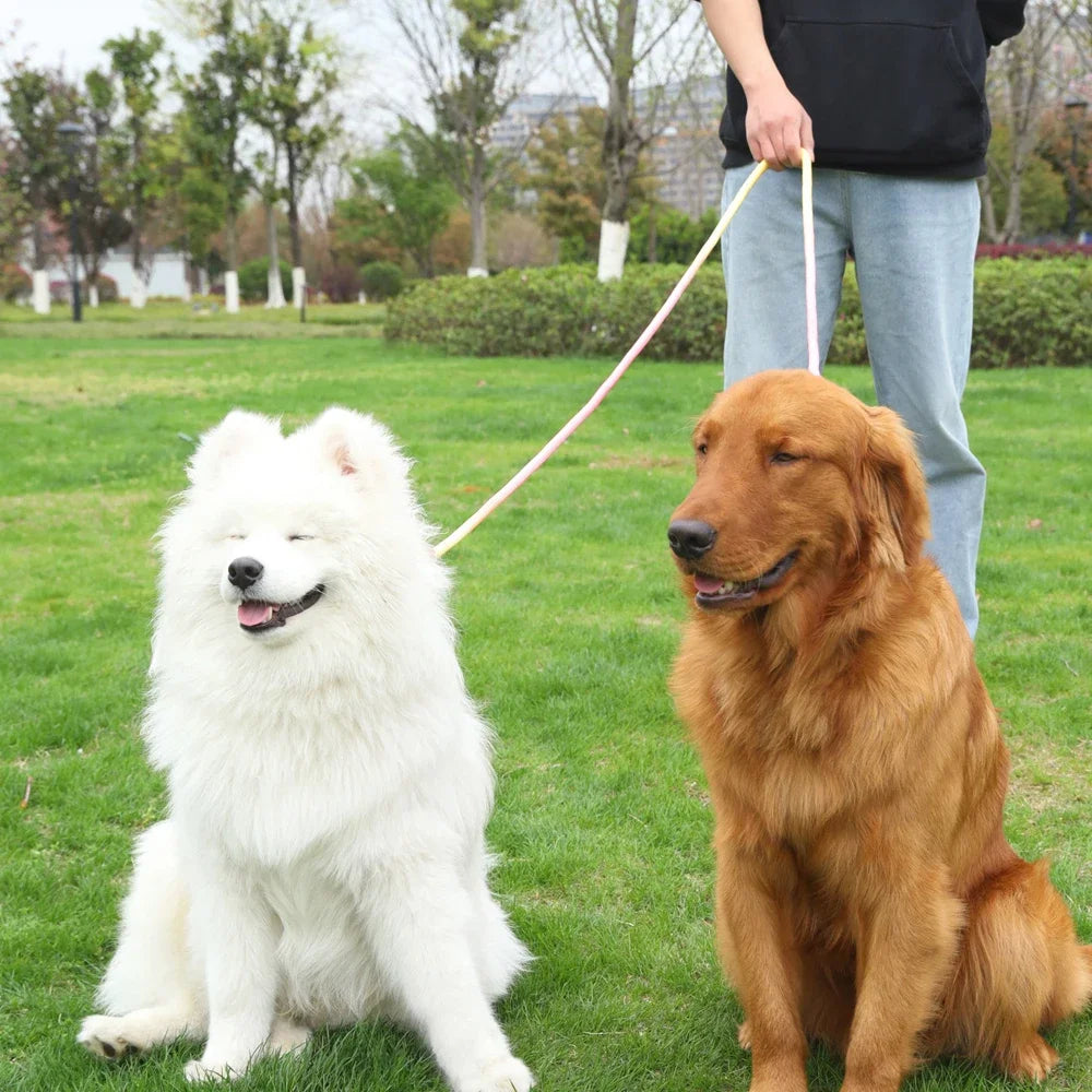 Hands-Free Crossbody Double Dog Leash — Adjustable Nylon Running & Walking Leash | 5 Prints | 92.5"