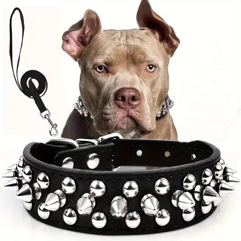 Spiked Rivet Leather Dog Collar & Leash Set | Adjustable | Outdoor Walking