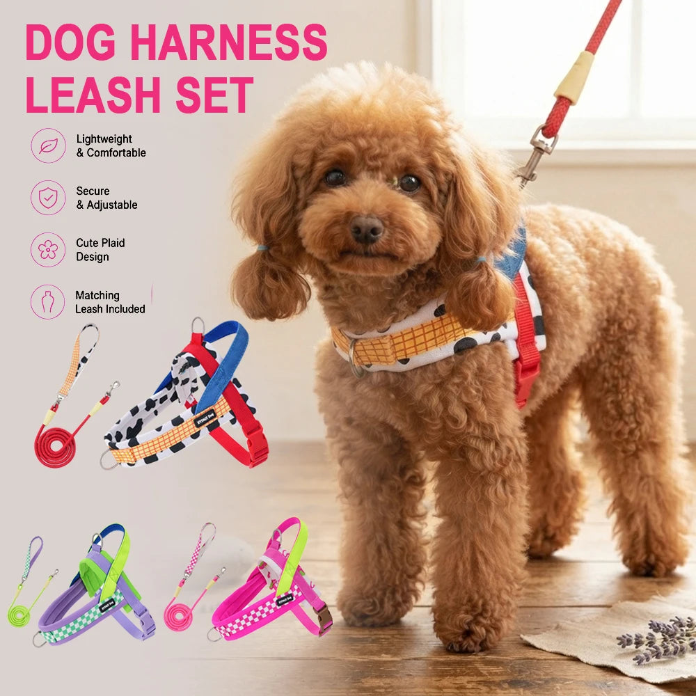 Plaid Saddle-Style Puppy Harness & Leash Set