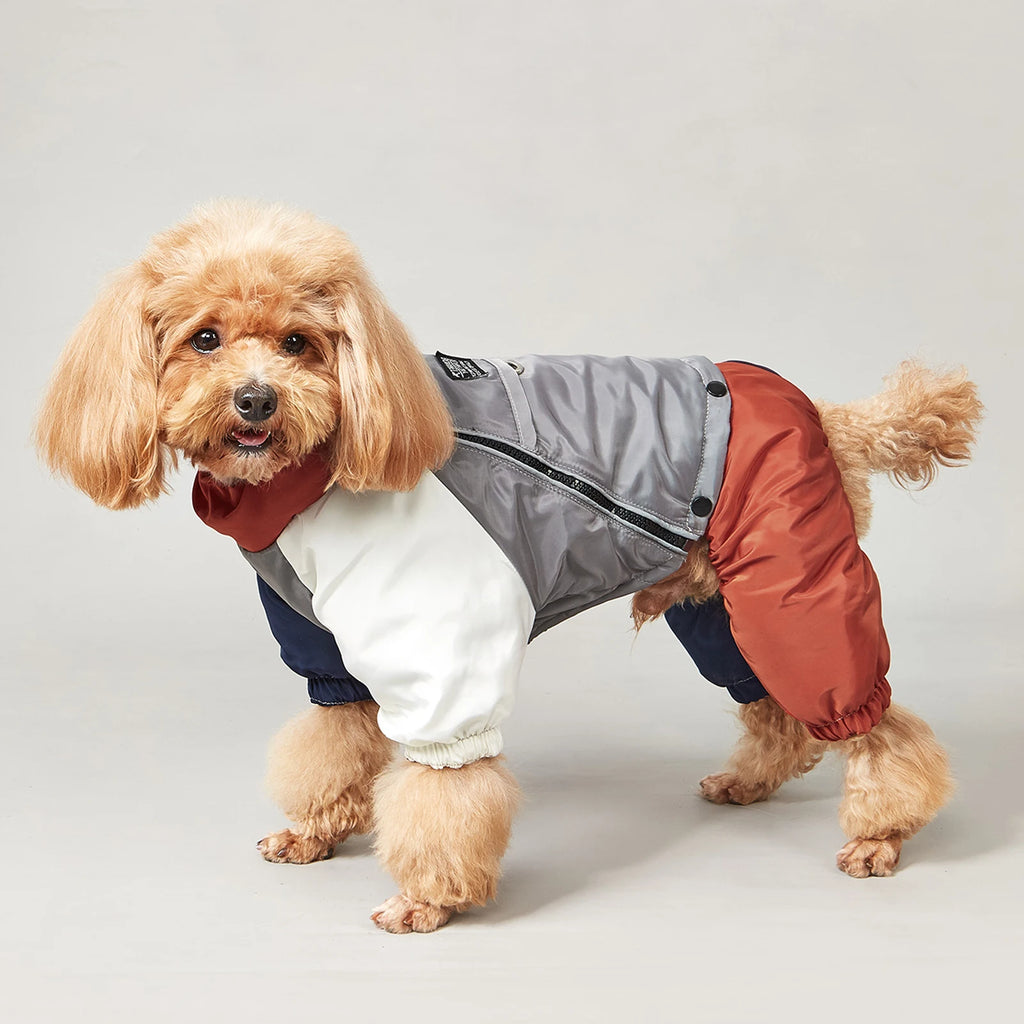 Winter Dog Jacket