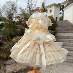 Fine Luxury Pet Dog Clothes Fashion High-end Handmade Cotton Lace Bow Princess Dress For Small Medium Dog Chihuahua Puppy Skirts 2 pieces Fashioned Furbabies