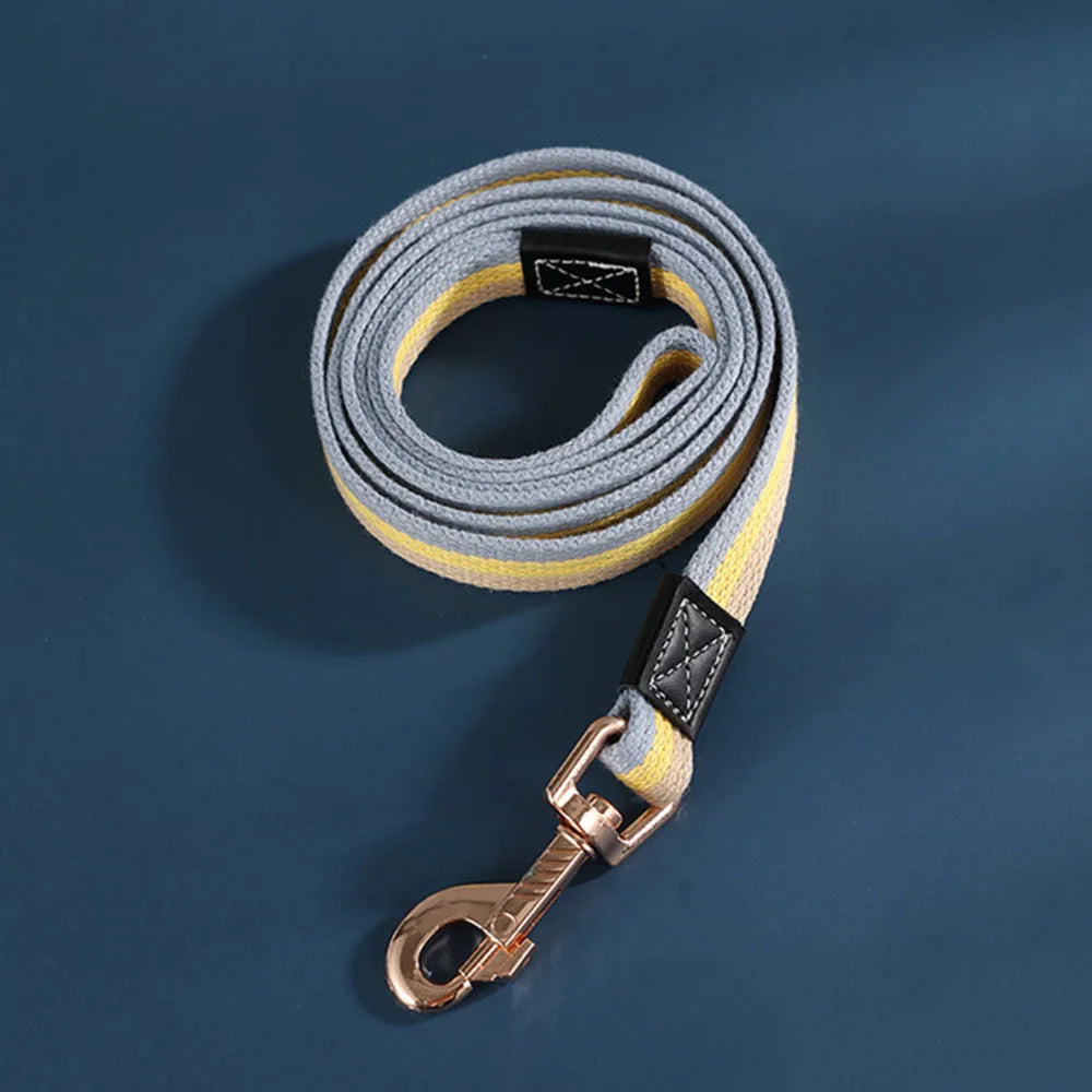 Padded Nylon Dog Training Leash — Strong Traction Lead for Small, Medium & Large Dogs | 4 Colors | 3 Widths | 2 Lengths