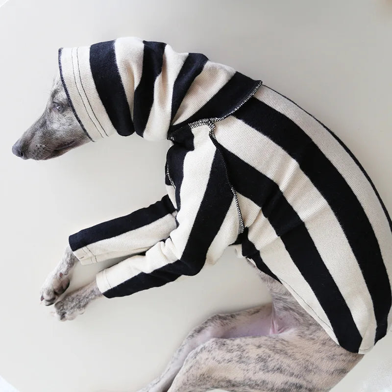 Winter Knitted Thing Dog Greyhound 2 Legged  Long Sleeve Pet Shirts Slim Dog Whibitt Pajamas Sweatshirts Knitwear