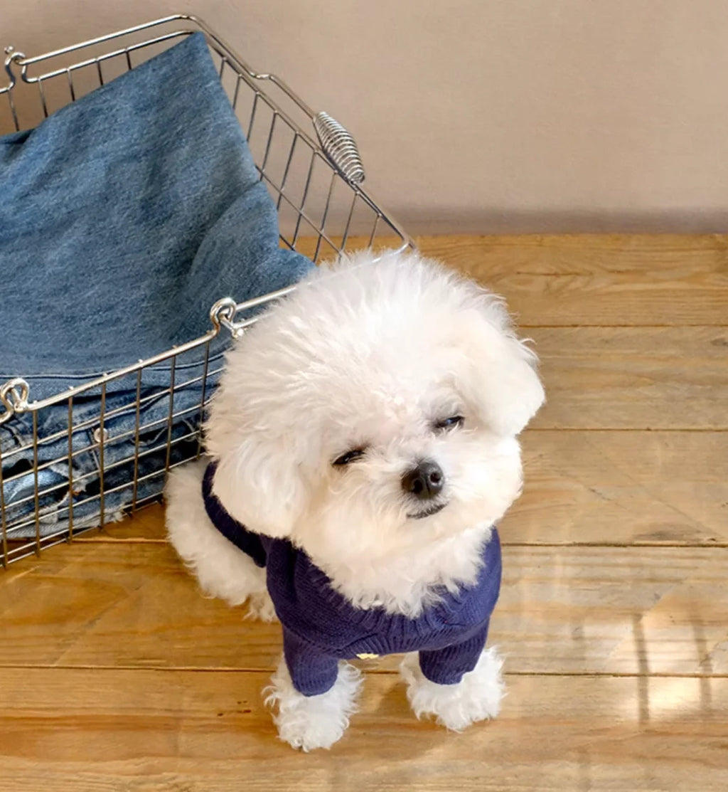 High Quality Design Dog