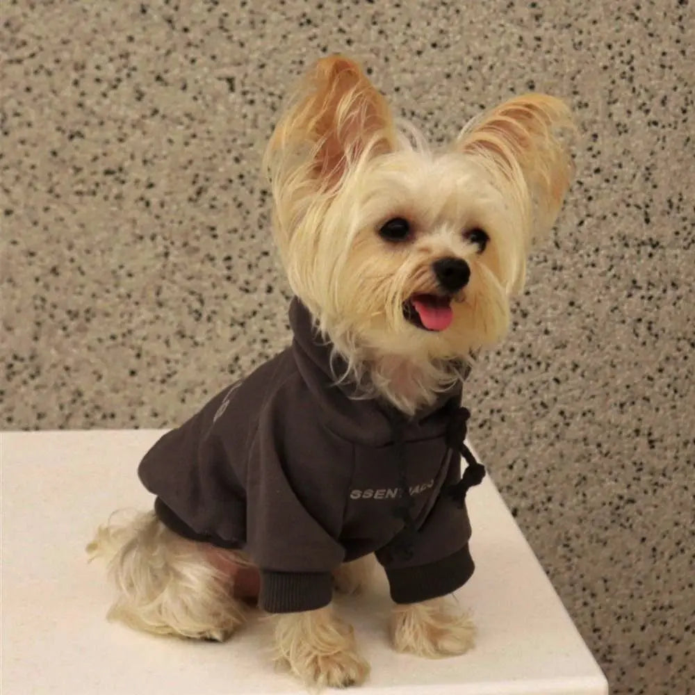 Autumn Days Dog Hoodie - Plush Warm Sweatshirt