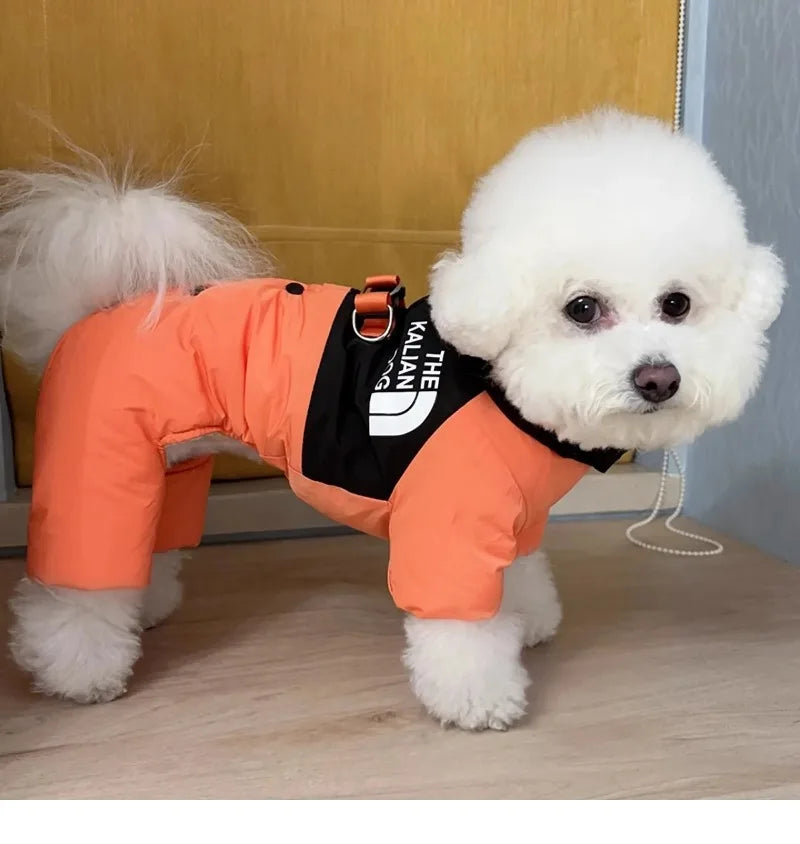 Four Legs Dog Face Design