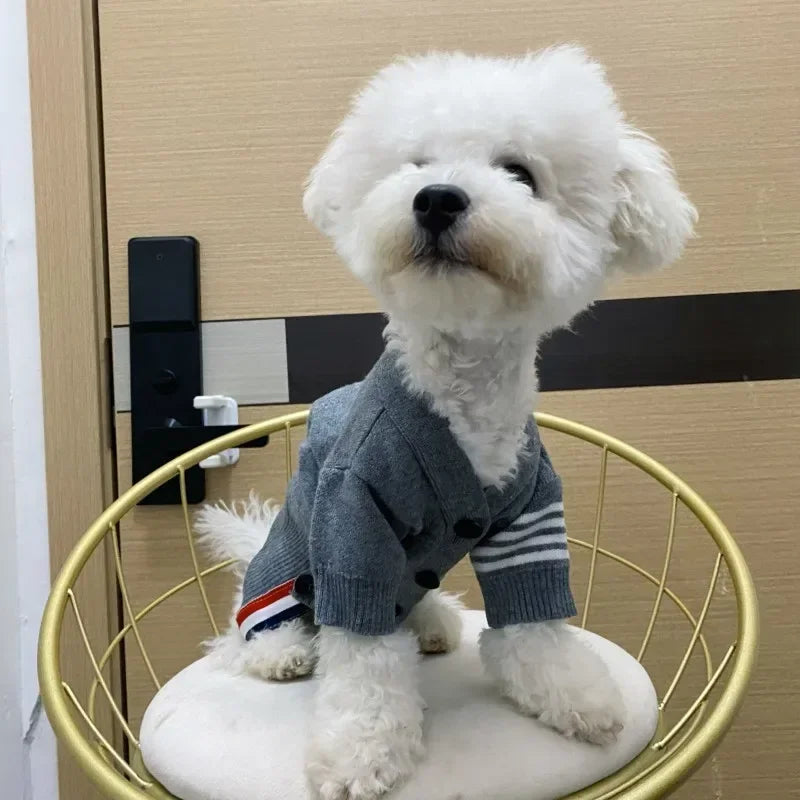 Designer Pullover Pet Sweater