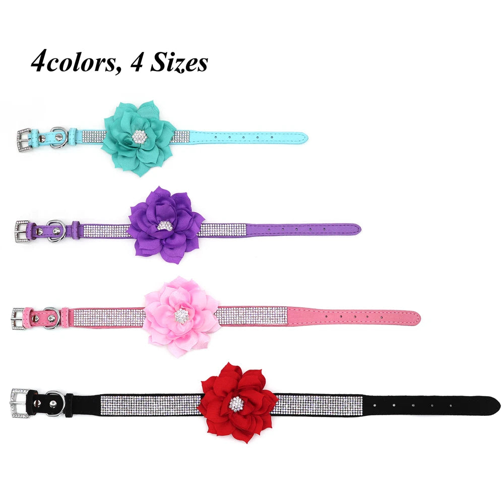 Rhinestone Dog Collar — Glitter Floral Suede Leather Collar & Optional 4ft Leash Set | Black, Blue, Pink & Purple | XS–L