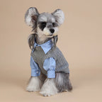 Cute Gray Pet Spring Autumn Dog Clothes Knitted Dog Cat Vest With Shirts 2 Pcs Clothing Set Fashioned Furbabies