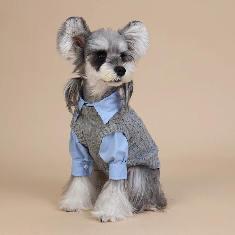 Cute Gray Pet Spring Autumn Dog Clothes Knitted Dog Cat Vest With Shirts 2 Pcs Clothing Set Fashioned Furbabies