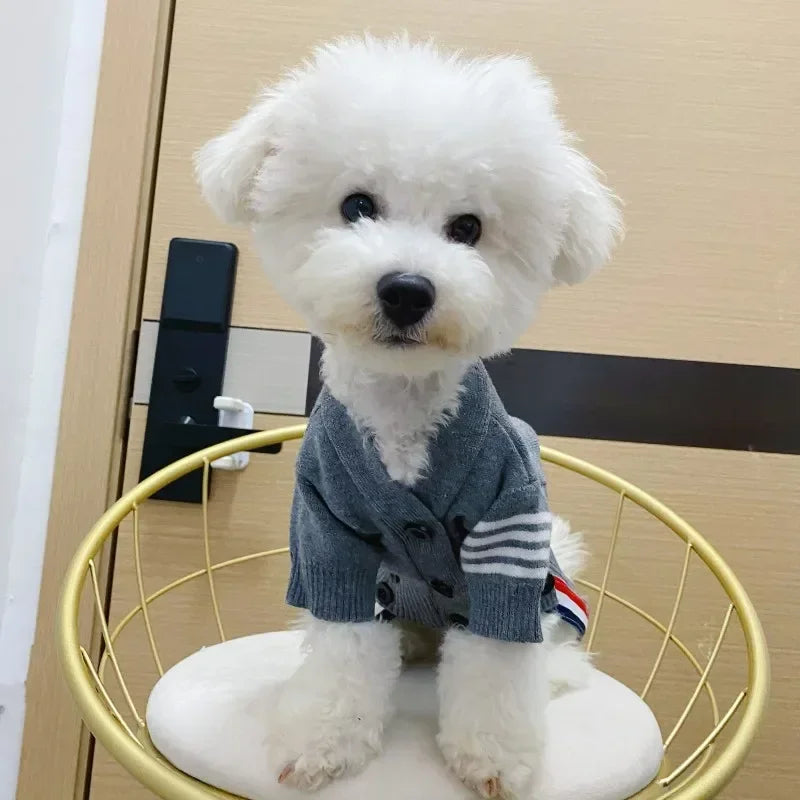 Designer Pullover Pet Sweater