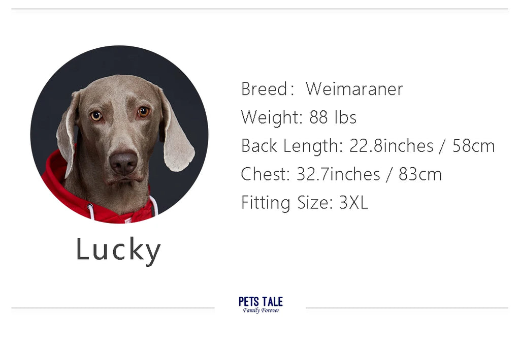 Dog Hoodie with Pocket, Leather Patch, Hook and Loop Fastener Collar -