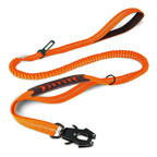 Soft Padded 2 Handle & Auto Lock Frog Clip Outdoor dog leash