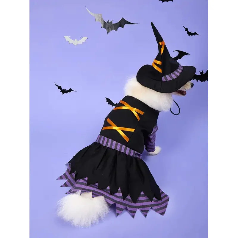 Halloween Witch Pet Costume with Hat | Witch Dress & Hat Cosplay for Dogs & Cats