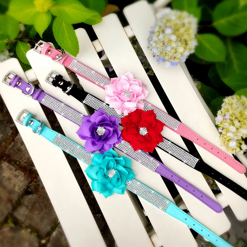 Rhinestone Dog Collar — Glitter Floral Suede Leather Collar & Optional 4ft Leash Set | Black, Blue, Pink & Purple | XS–L