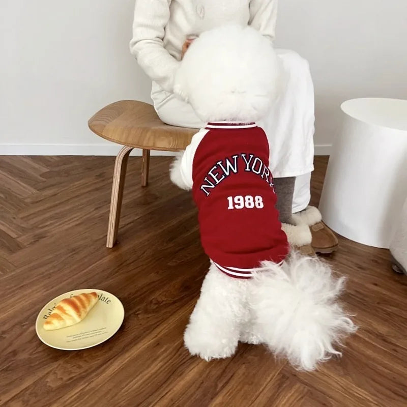 Colorblock Baseball Jacket for Small Dogs — Fleece Letter Print Coat | XS–XL