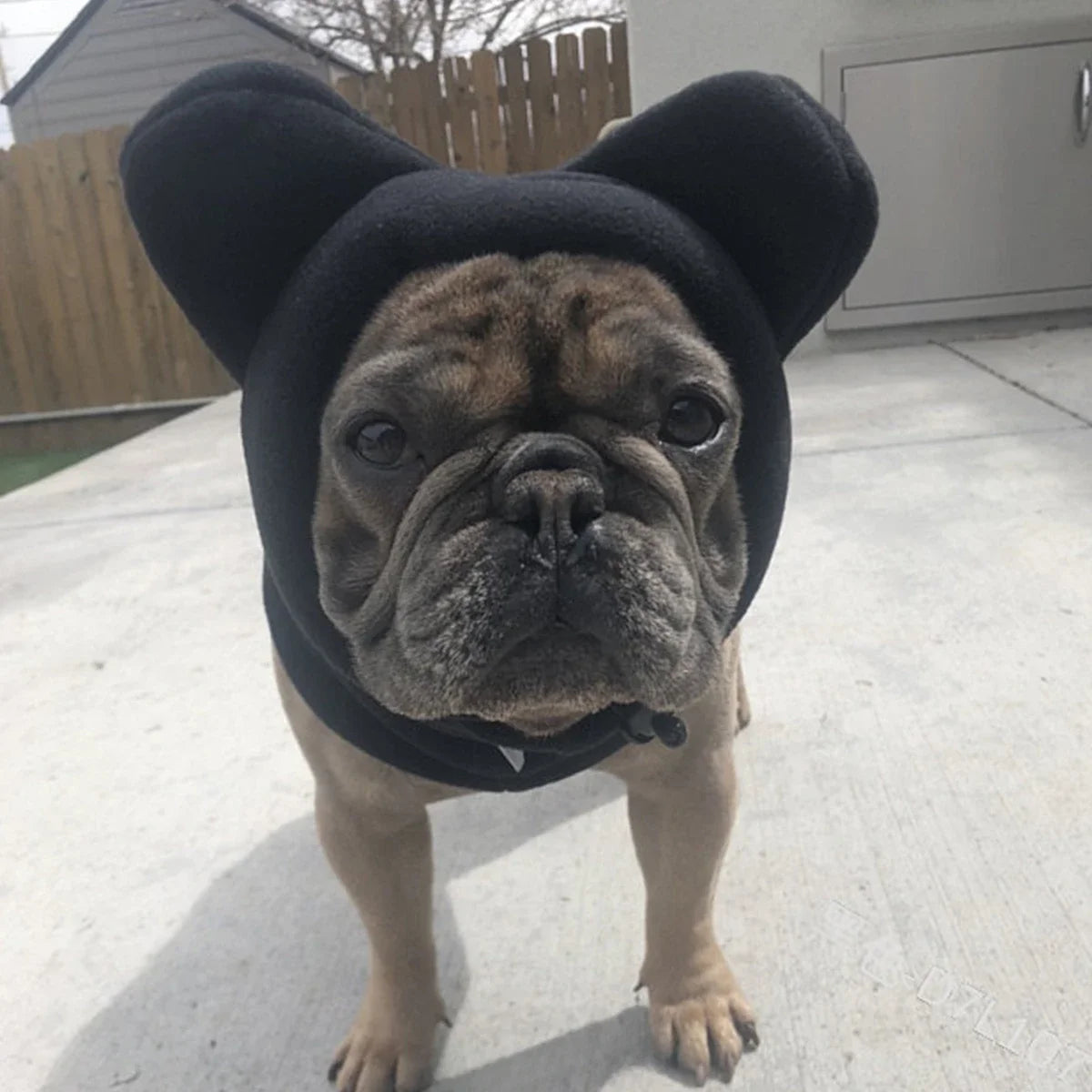 Winter Pet Hat Fleece Dog Warm Hat Ears Hoodie Scarf Set Pet Cat Dog Hat Headgear Warm Earmuffs Dog Warmth Accessories Outfits