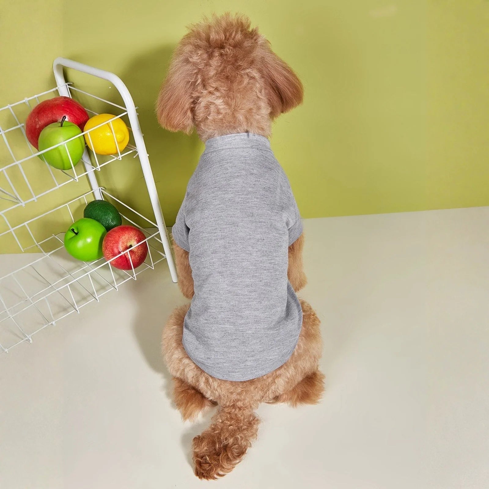 Lightweight Dog T-Shirt