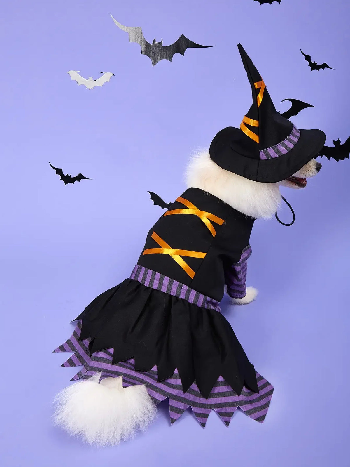 Halloween Witch Pet Costume with Hat | Witch Dress & Hat Cosplay for Dogs & Cats