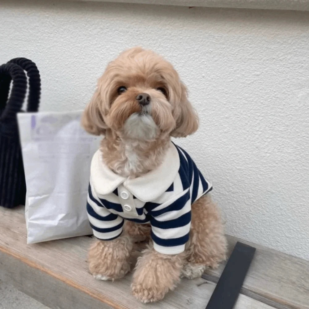 Striped Collared Dog Shirt & Breathable Cooling Vest — Soft Polyester T-Shirt for Small Dogs | XS–2XL