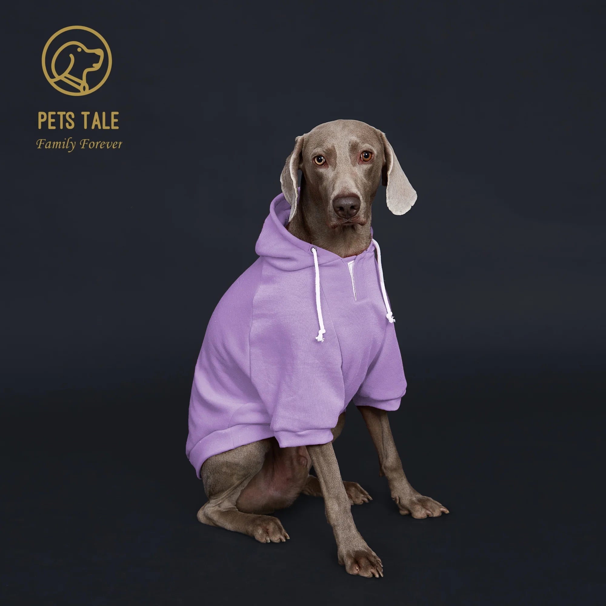 Dog Hoodie with Pocket, Leather Patch, Hook and Loop Fastener Collar -