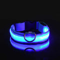 LED Glow Dog Collar & Leash | Nylon Night Safety Flashing Collar