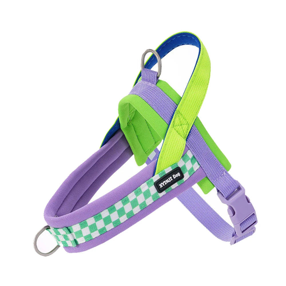 Plaid Saddle-Style Puppy Harness & Leash Set