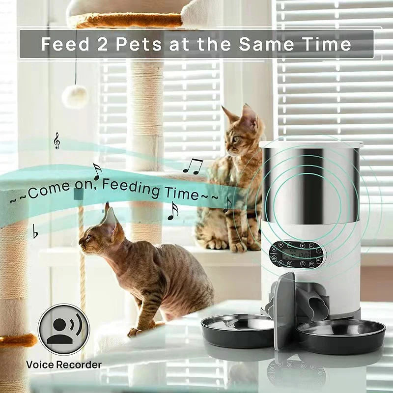 The SmartFeast Double Feeder