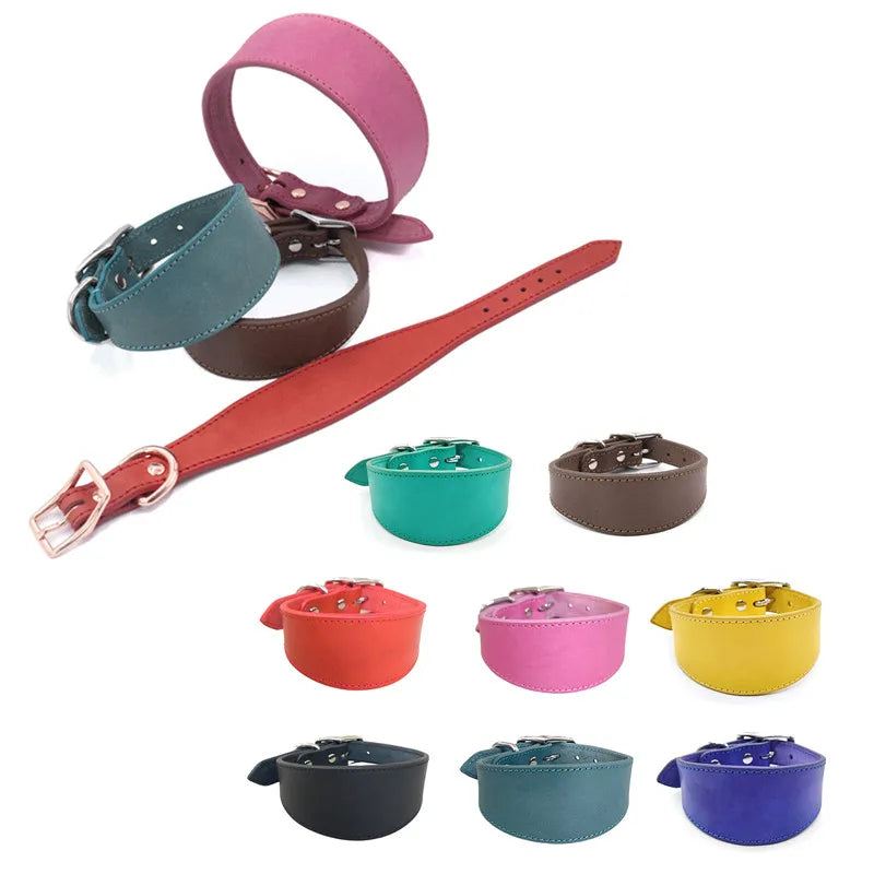 Padded Leather Sighthound Dog Collar