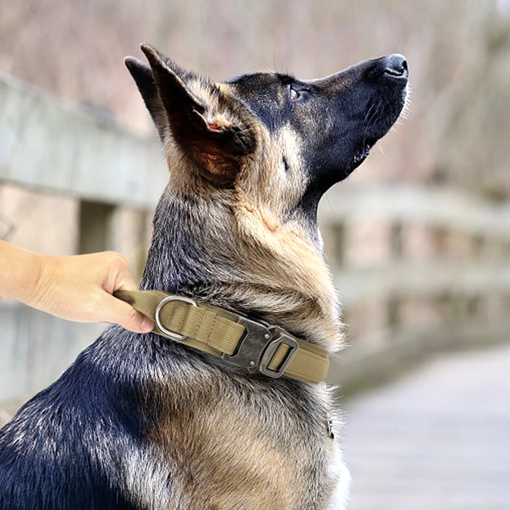 Durable Military Tactical Dog Collar Bungee Leash Set Pet Nylon Walking Training Collar For Medium Large Dogs German Shepard Fashioned Furbabies