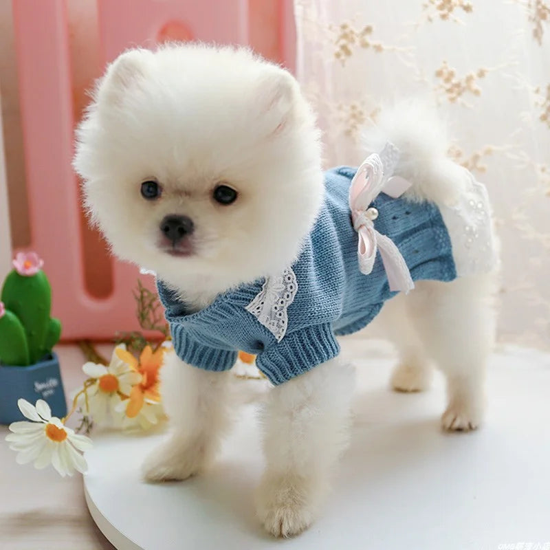 Wool Princess Skirt Sweater Dress — Elastic Waist Autumn Outfit for Small Dogs & Cats | Blue | XS–XL