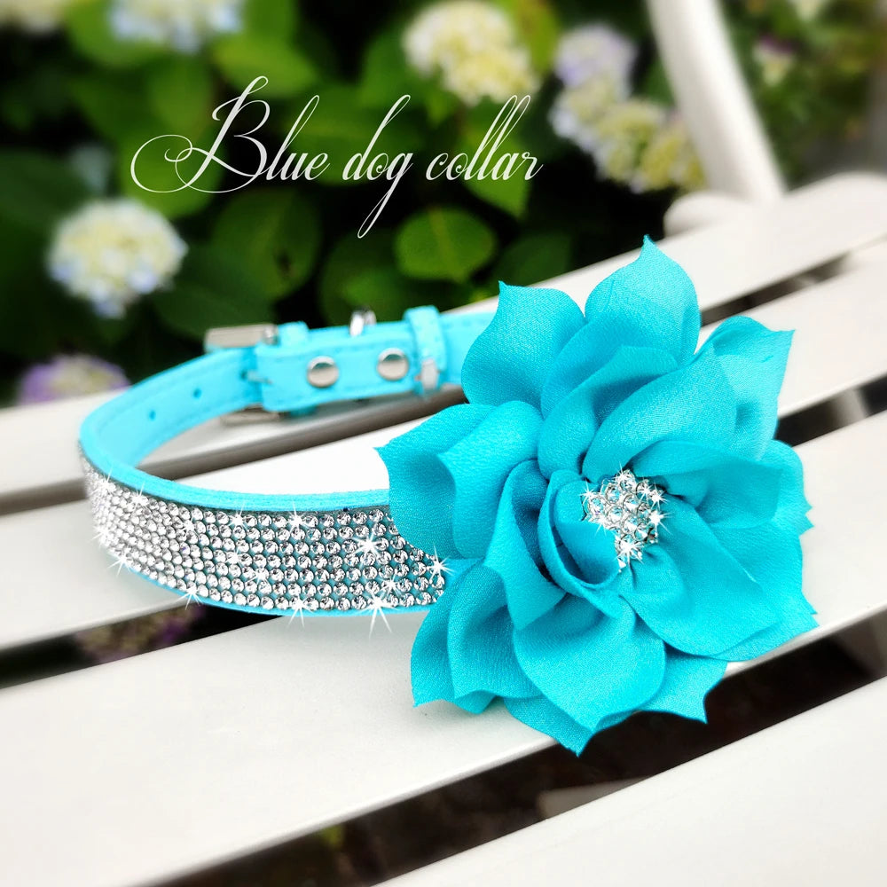 Rhinestone Dog Collar — Glitter Floral Suede Leather Collar & Optional 4ft Leash Set | Black, Blue, Pink & Purple | XS–L