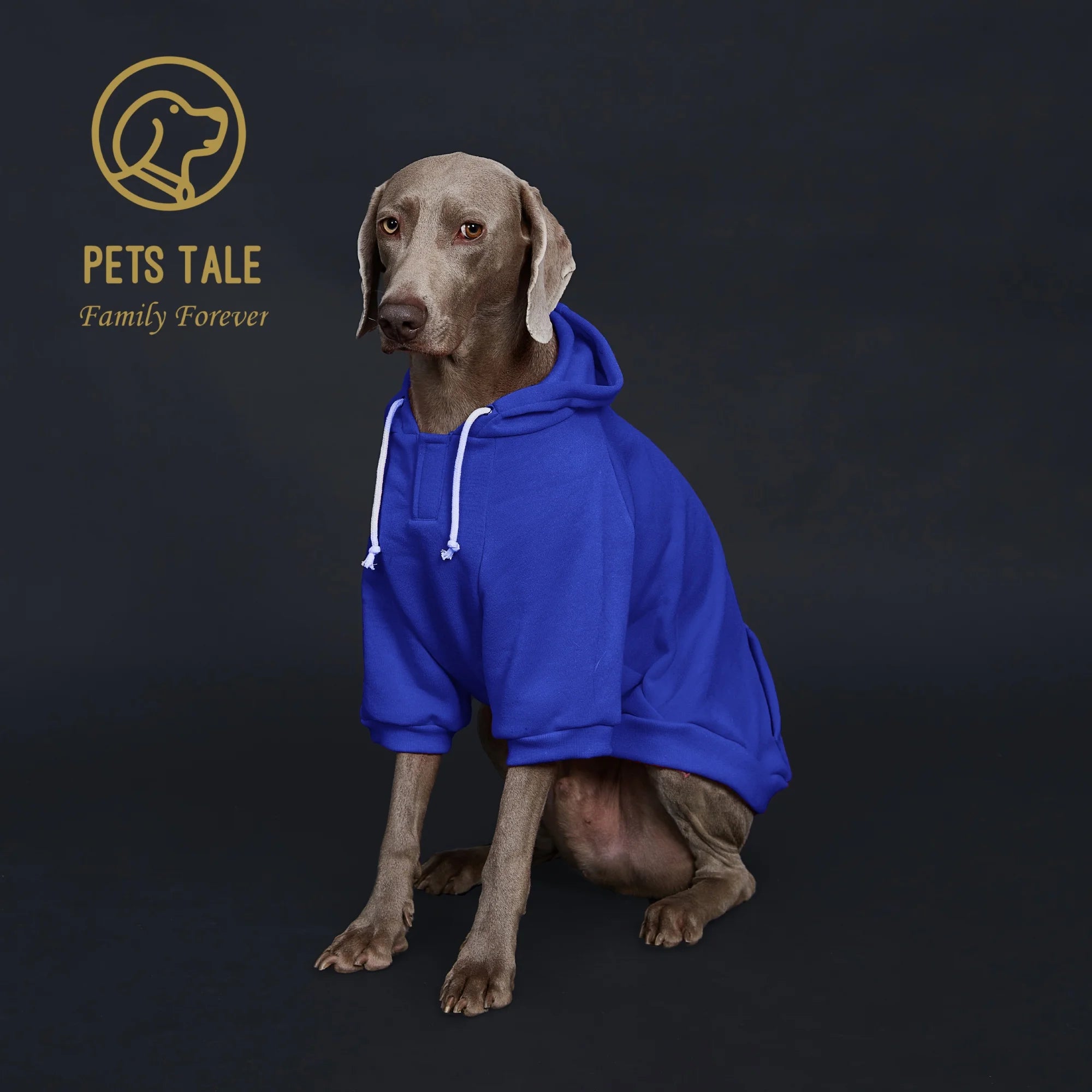 Dog Hoodie with Pocket, Leather Patch, Hook and Loop Fastener Collar -
