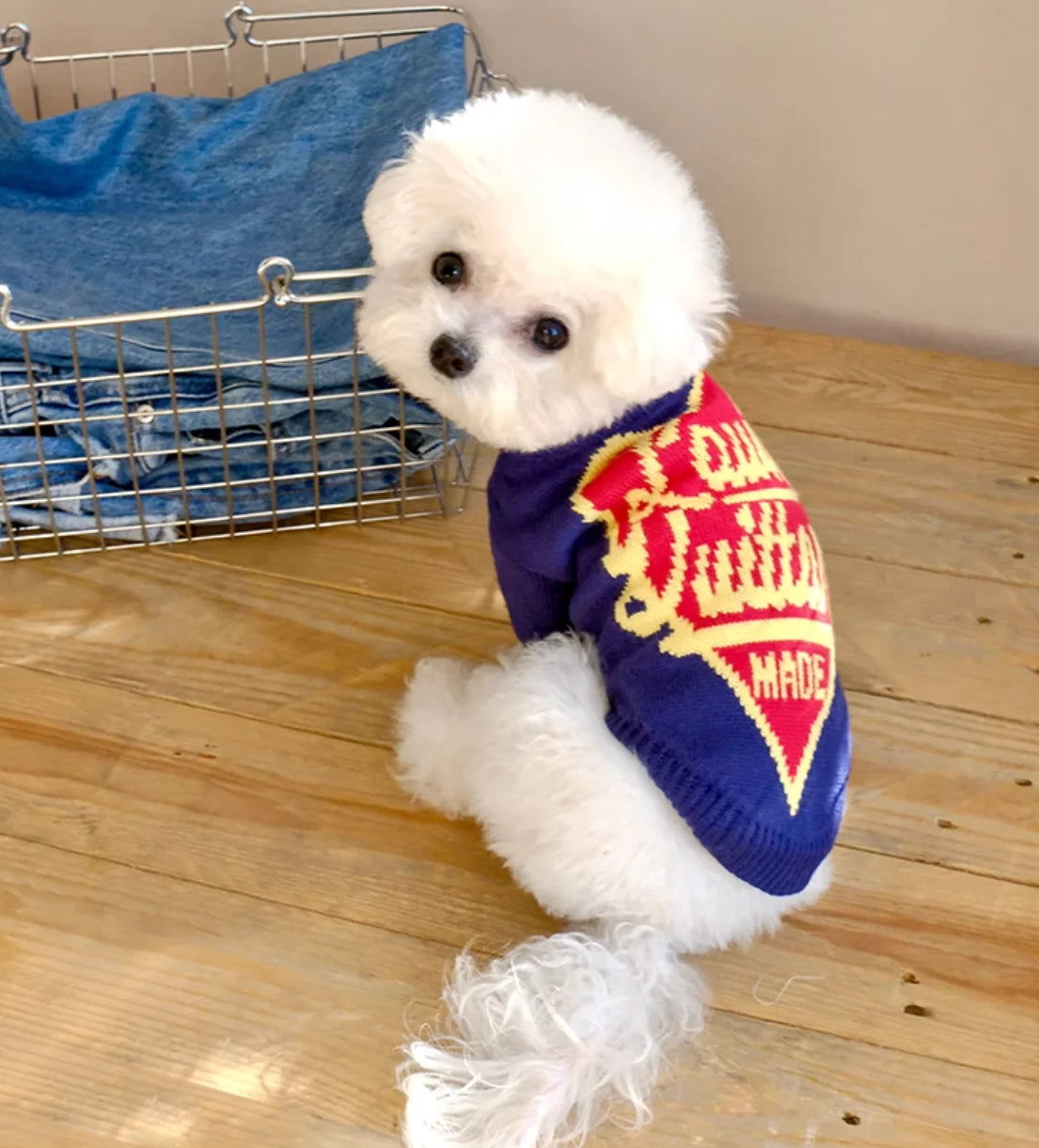 High Quality Design Dog