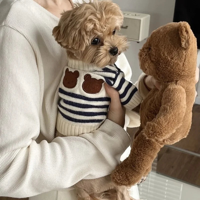 Bear Knit Dog Sweaters