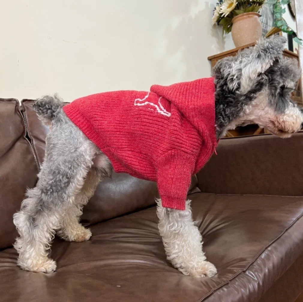 British Gentleman Knit Zipper Dog Coat — Classic Style Winter Sweater for Small Dogs | S–XXL