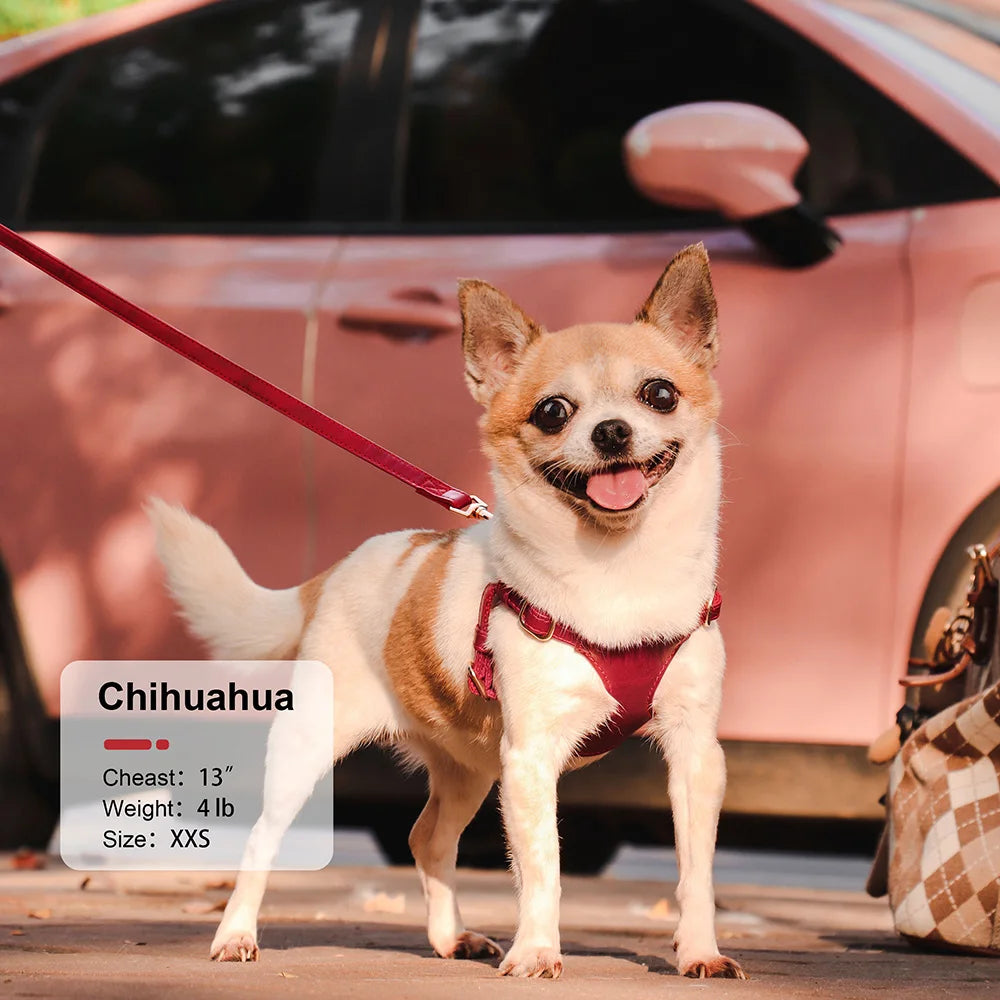 Soft Genuine Leather Dog Harness Leash Set Small Medium Dogs Cats Harness Vest For Chihuahua French Bulldog Walking Training Fashioned Furbabies