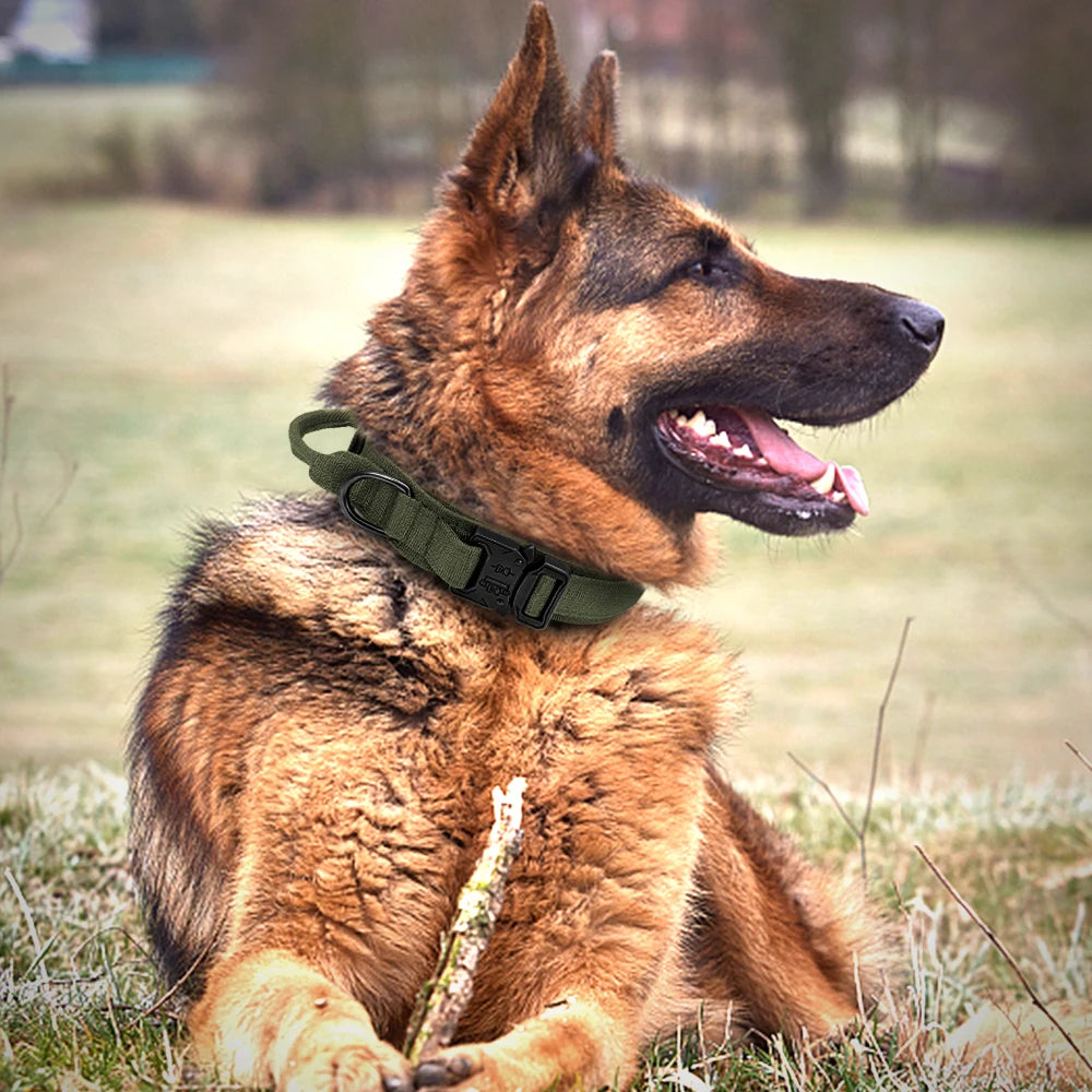 Durable Military Tactical Dog Collar Bungee Leash Set Pet Nylon Walking Training Collar For Medium Large Dogs German Shepard Fashioned Furbabies